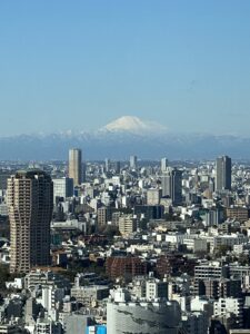 View of Tokyo and Mount Fuji from the Tokyo Tower