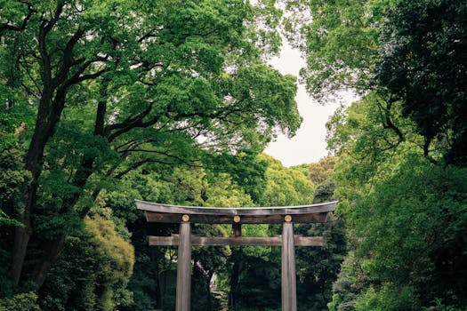 A serene view of a traditional Torii gate in Tokyo's vibrant forest setting, capturing nature's tranquility.