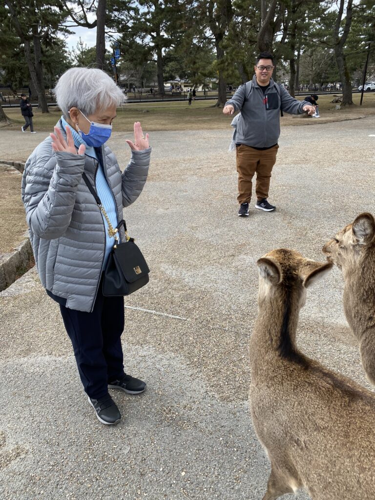 Man and woman raising their hands in front of wild deer in Nara, Japan