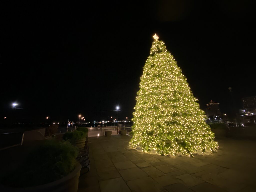 Christmas tree decorated in yellow lights in Jackson Square New Orleans